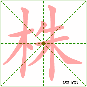 株的笔顺