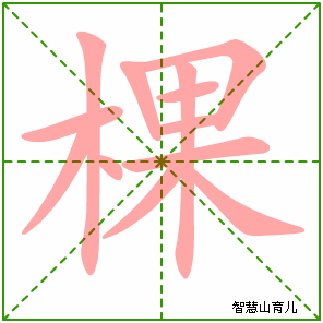 棵字写法 棵的笔顺