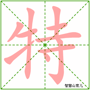 特字写法 特的笔顺