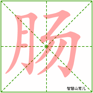 肠字写法 肠的笔顺