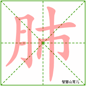 肺的笔顺