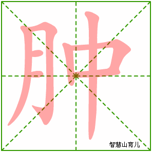 肿字写法 肿的笔顺