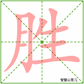 胜字写法 胜的笔顺