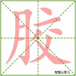 胶字写法 胶的笔顺