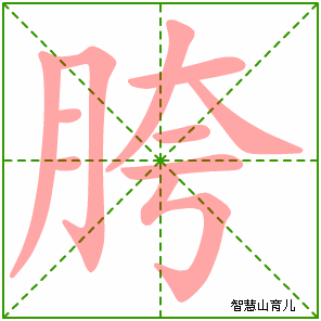 胯的笔顺