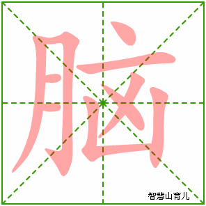 脑字写法 脑的笔顺