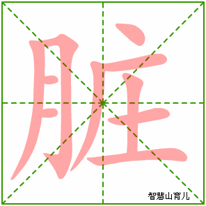 脏字写法 脏的笔顺