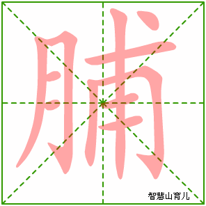 脯字写法 脯的笔顺
