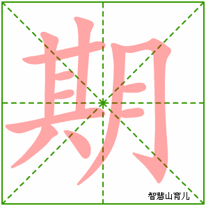期字写法 期的笔顺