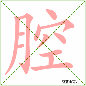 腔字写法 腔的笔顺