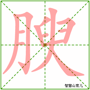 腴的笔顺