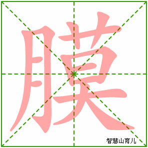 膜字写法 膜的笔顺