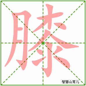 膝字写法 膝的笔顺