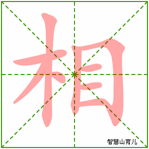 相字写法 相的笔顺
