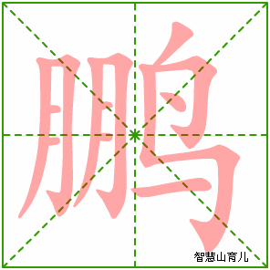 鹏的笔顺