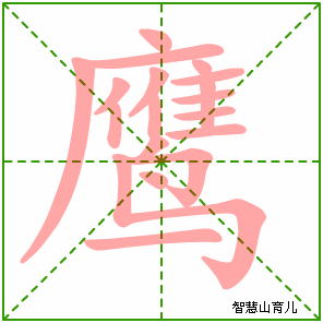 鹰字写法 鹰的笔顺