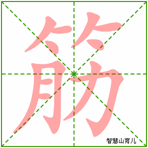 筋字写法 筋的笔顺