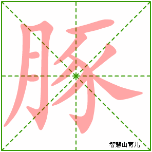 豚字写法 豚的笔顺