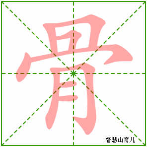 骨字写法 骨的笔顺