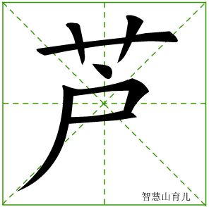 芦字写法 芦的笔顺