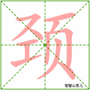 颈字写法 颈的笔顺