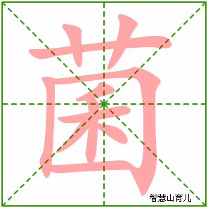 菌的笔顺