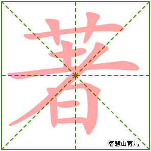 著字写法 著的笔顺