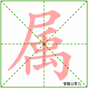 属字写法 属的笔顺