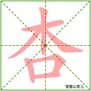 杏字写法 杏的笔顺