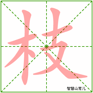 枝字写法 枝的笔顺