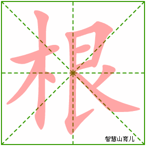 根字写法 根的笔顺