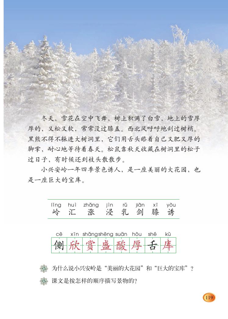 美丽的小兴安岭