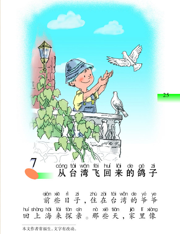 从台湾飞回来的鸽子