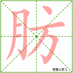 肪的笔顺