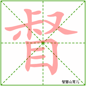 植字笔顺笔画 植的部首和笔画 物字笔顺笔画 引字笔顺笔画 植字笔顺笔画 植的部首和笔画 物字笔顺笔画 引字笔顺笔画