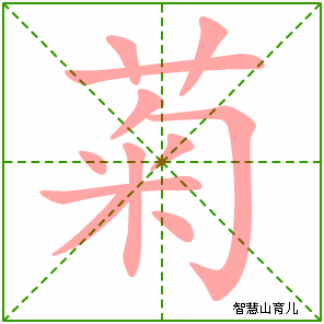 菊的笔顺拼音及解释